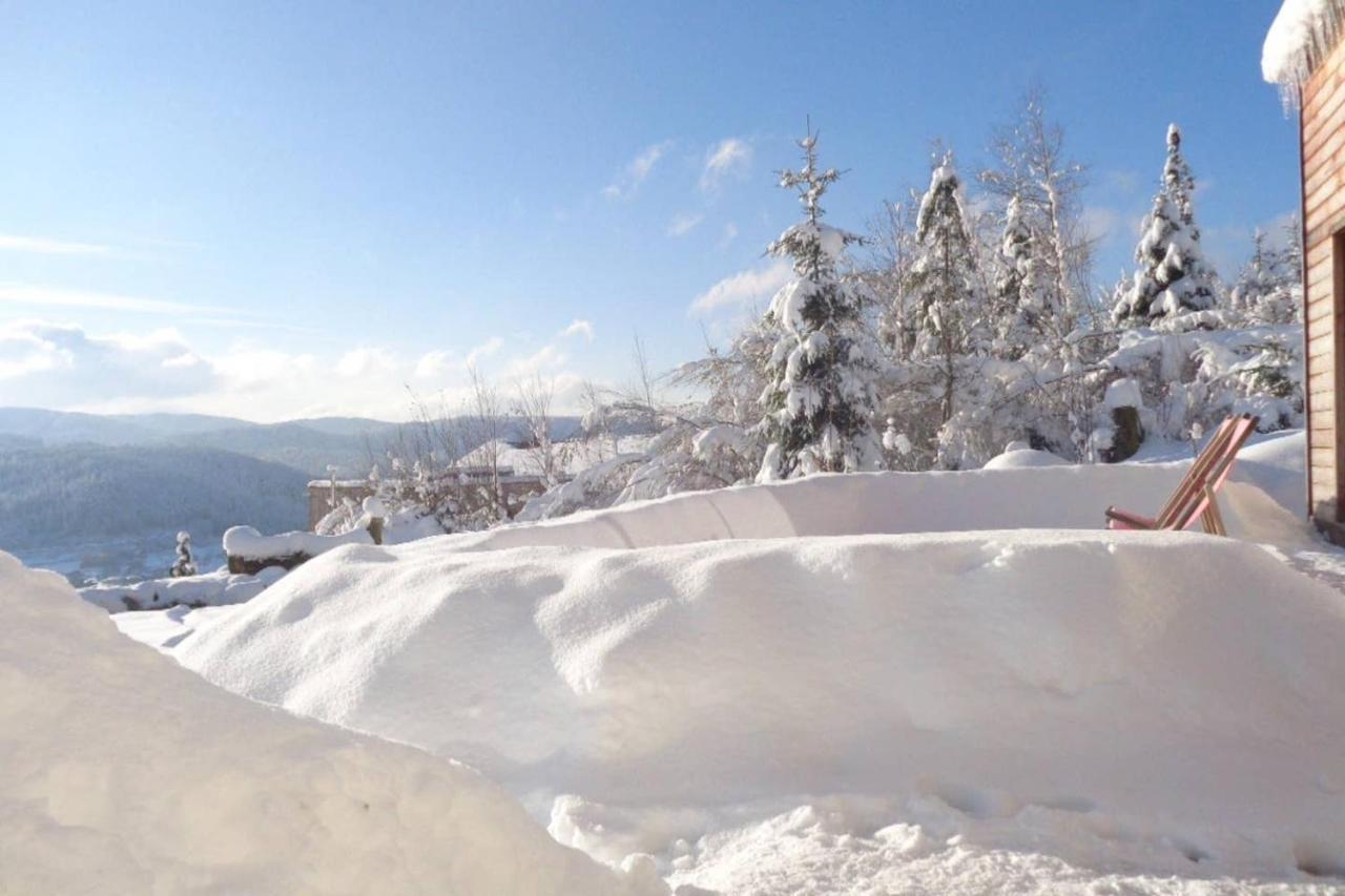 Laptitevosgienne VUE LAC à Gérardmer ! Exterior foto